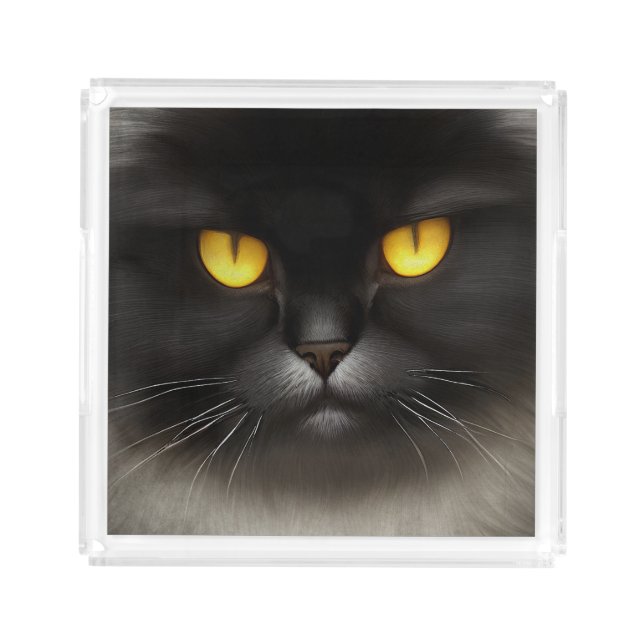 Funny Angry Fluffy Black Persian Kitty Cat Face Acrylic Tray (Front)