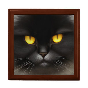 Funny Angry Fluffy Black Persian Kitty Cat Face Gift Box