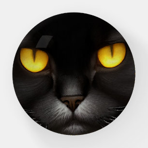 Funny Angry Fluffy Black Persian Kitty Cat Face Paperweight