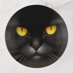 Funny Angry Fluffy Black Persian Kitty Cat Face Trinket Tray