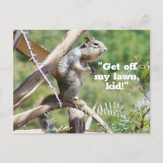 Funny Angry Squirrel Postcard