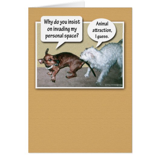 Funny Animal Attraction Cards (Front)