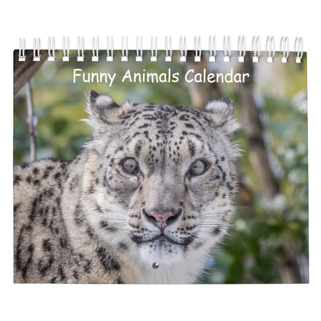 Funny Animal Calendar (Cover)