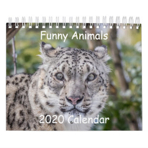 Funny Animal Calendar