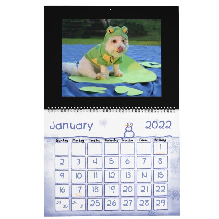 Funny Animal Calendar