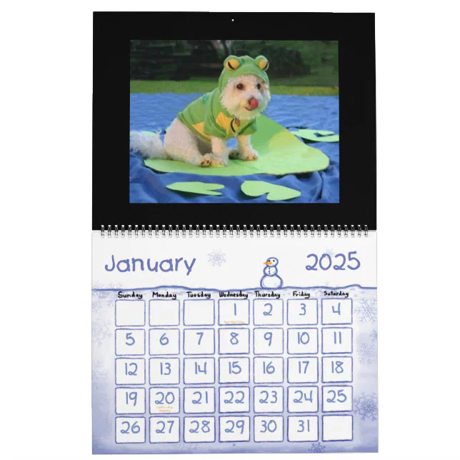 Funny Animal Calendar Zazzle