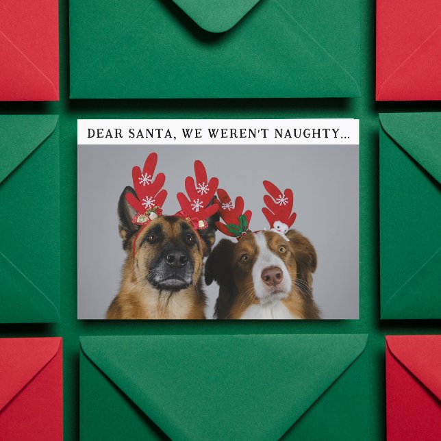 Funny Animal Custom Dog Photo Christmas Picture Holiday Card (Creator Uploaded)