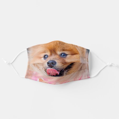 funny animal dog lover pomeranian puppy adult cloth face mask
