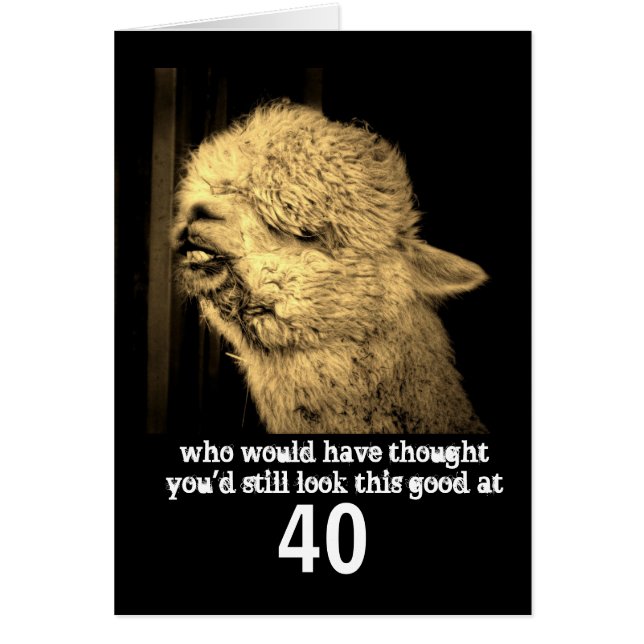 funny animal  humor alpaca photo custom birthday (Front)