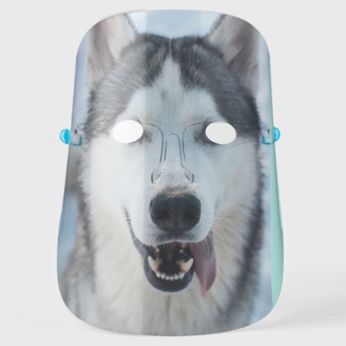 funny animal lover black white husky dog face shield