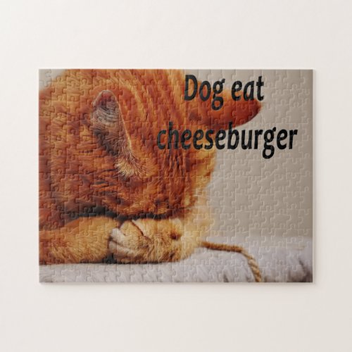 Funny Animal Memes Cat Memes Humorous Photos Jigsaw Puzzle