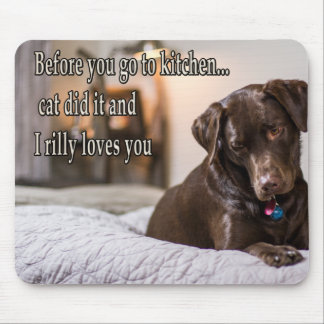 Funny animal memes Dog memes Humorous Photos Mouse Pad