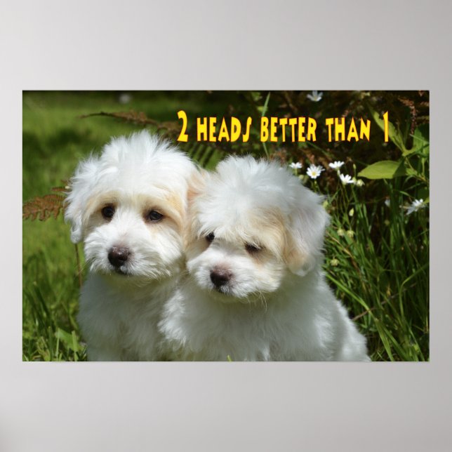 Funny animal memes Dog memes Humorous Photos Poster (Front)