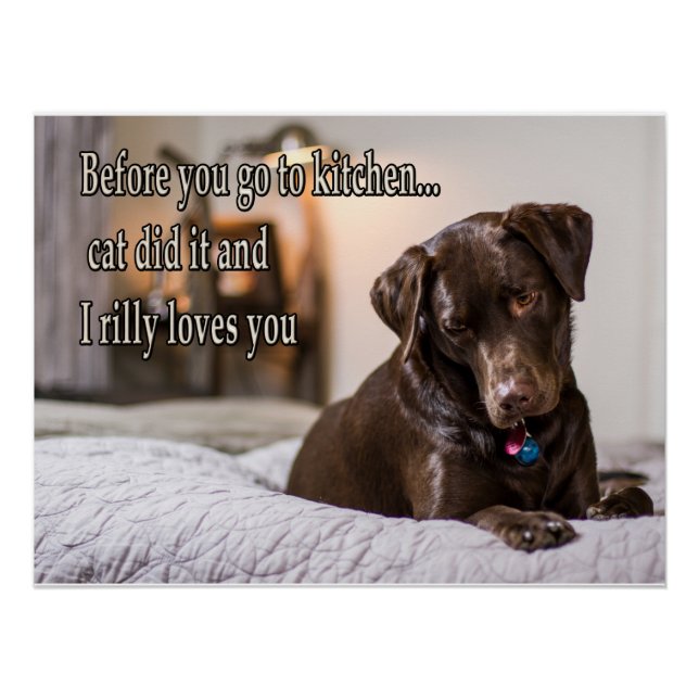 Funny animal memes Dog memes Humorous Photos Poster (Front)
