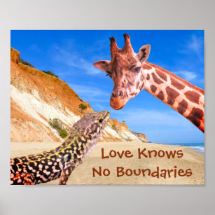 Funny Animal Photomontage Love Knows No Boundaries Poster