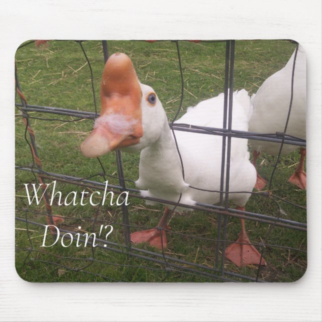 Funny Animal Pictures Mouse Pad (Front)