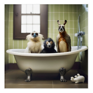 Funny animals in bathroom acrylic print