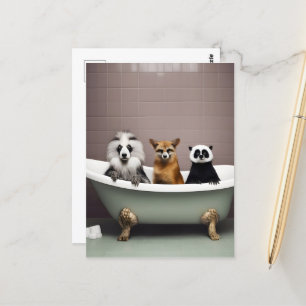 Funny animals sitting in bathtub in bathroom postcard