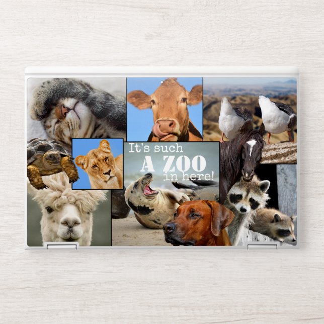 Funny Animals Zoo Laptop Skin (Front)
