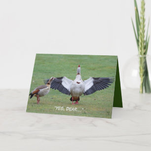 Funny Anniversary card