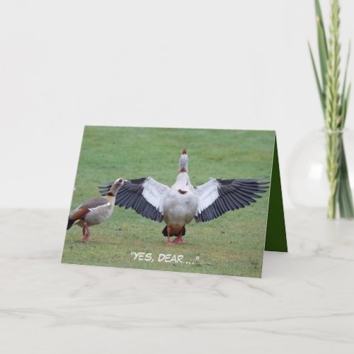 Funny Anniversary card featuring Egyptian Geese