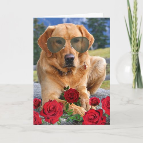 Funny Anniversary for Wife Golden Labrador Card