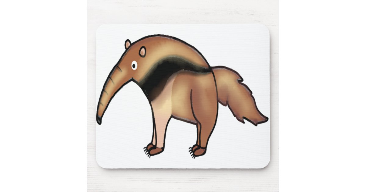 cute anteater