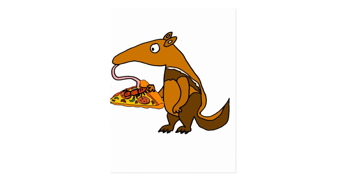 Funny Anteater Eating Pizza Cartoon Postcard Zazzle Com