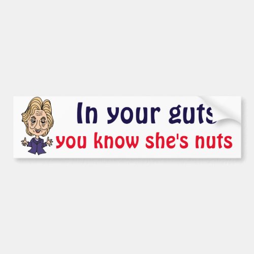 Funny anti Hillary Political Bumper Sticker