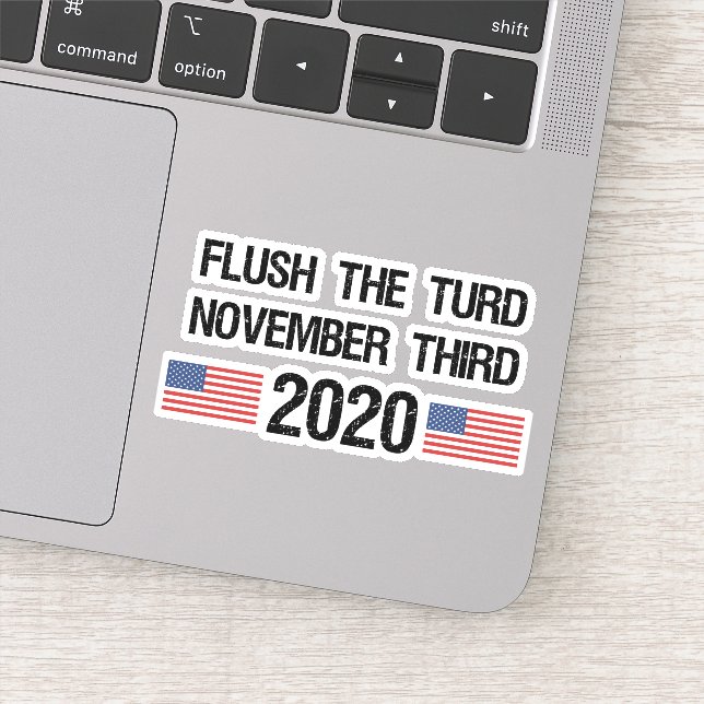 Funny Anti-Trump 2020 Elections Sticker (Detail)