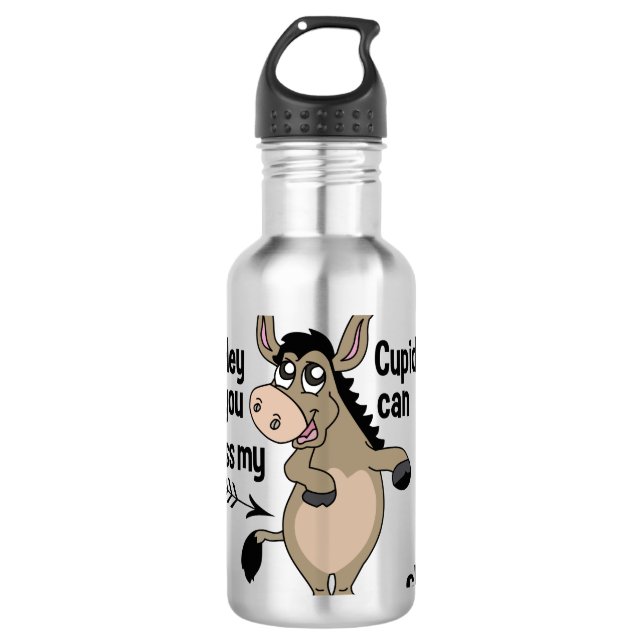 Funny Anti-Valentine Donkey custom water bottles (Front)