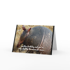 funny armadillo birthday card humor