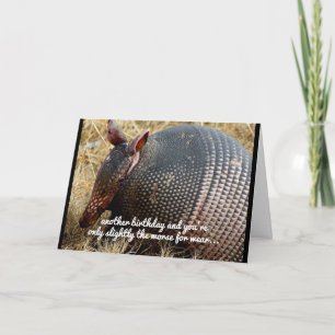 funny armadillo birthday card humor
