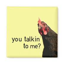 Funny Attitude Chicken - you talkin to me?