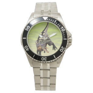 Funny Aucasaurus Roaring Prehistoric Dino Art Watch