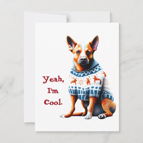 Funny Australian Cattle Dog in Christmas Sweater Holiday Card