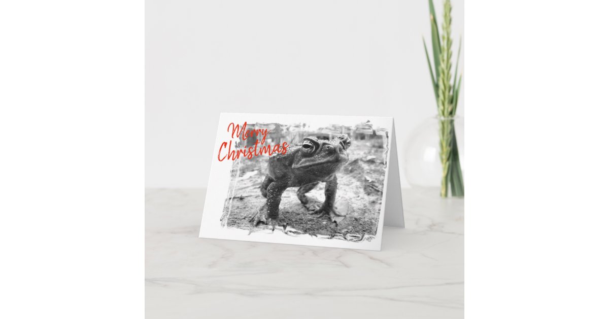 Funny Australian Christmas Greeting Card Zazzle — free download