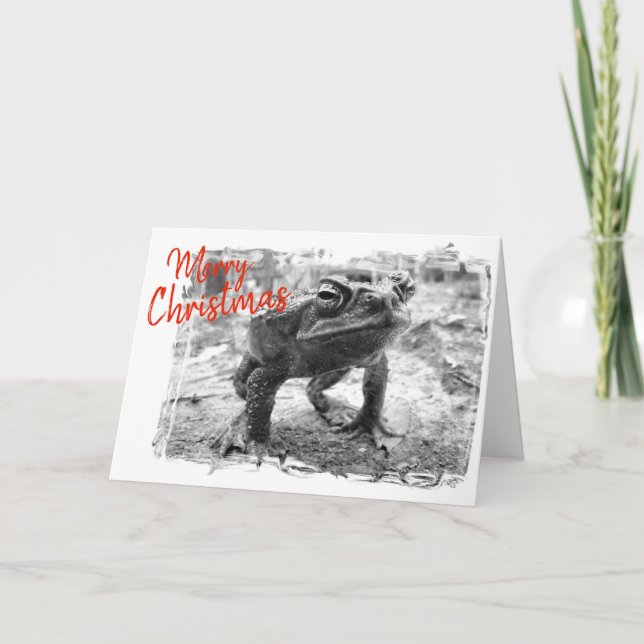 Funny Australian Christmas Greeting Card (Front)