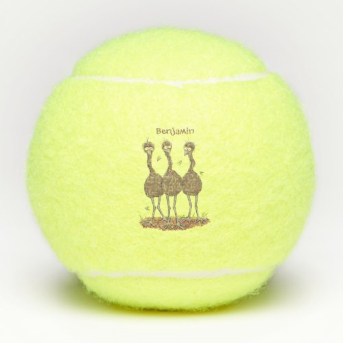 Funny Australian emu trio cartoon illustration Tennis Balls