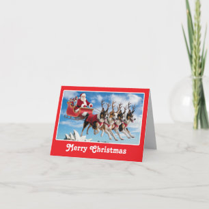 Funny Australian Shepherd Christmas Card