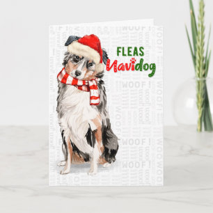 Funny Australian Shepherd Dog Fleas Navidog Holiday Card
