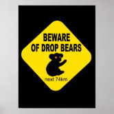 Beware the drop bear! Australia's most feared animal. — Steemit