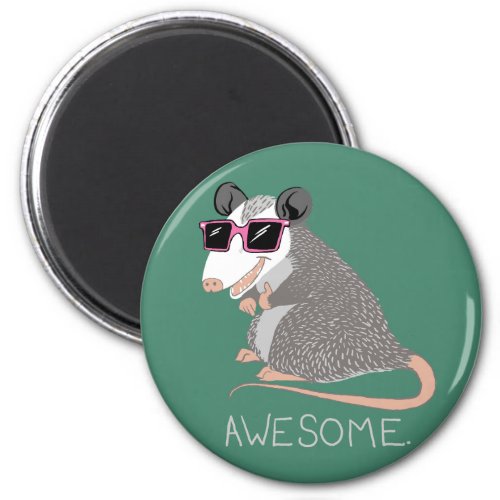 Funny Awesome Possum Magnet