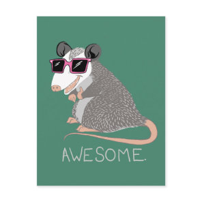Funny Awesome Possum Postcard