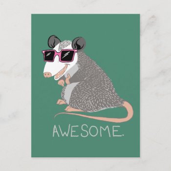 Funny Awesome Possum Postcard by blackunicorn at Zazzle