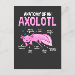 Funny Axolotl Anatomy Biology Cute Amphibian Postcard
