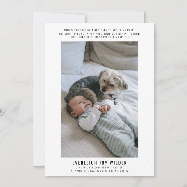 Funny Baby And Dog Photo Birth  Announcement (Front)