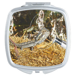 Funny Baby Bearded Dragon, Compact Mirror