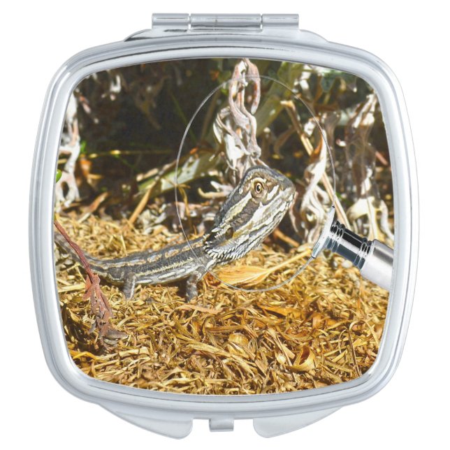 Funny Baby Bearded Dragon, Compact Mirror (Front)