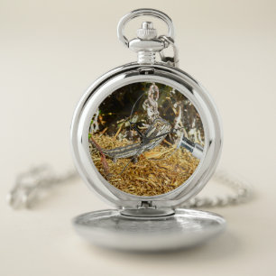 Funny Baby Bearded Dragon, Pocket Watch